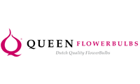 Queen FlowerBulbs